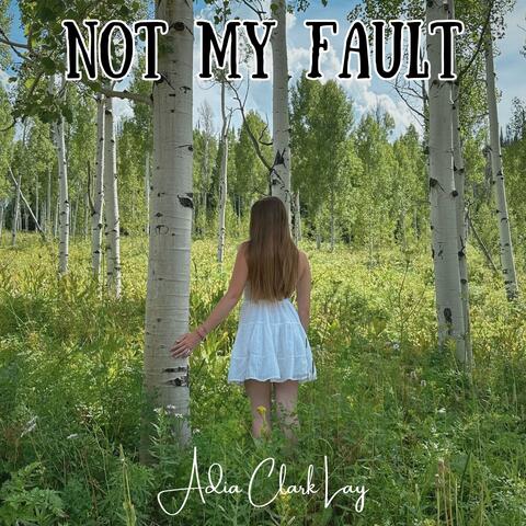 Not My Fault