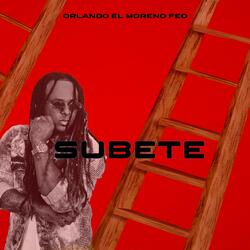 Subete
