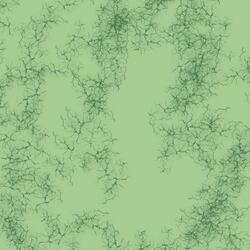 21 Suite: 21 Years/21 Below