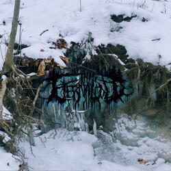 Bones and Broken Branches