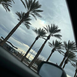 TAXI (feat. YORIDETTH)