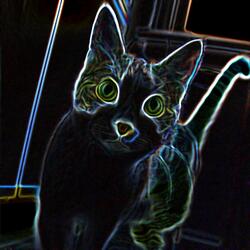 Taco Cat (Slowed + Reverb)