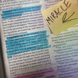 Miracle (feat. Claire Newrones)