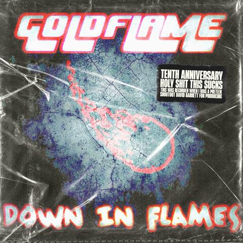 Down In Flames (10th Anniversary Special Edition)