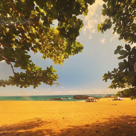 Summertime Stay Irie