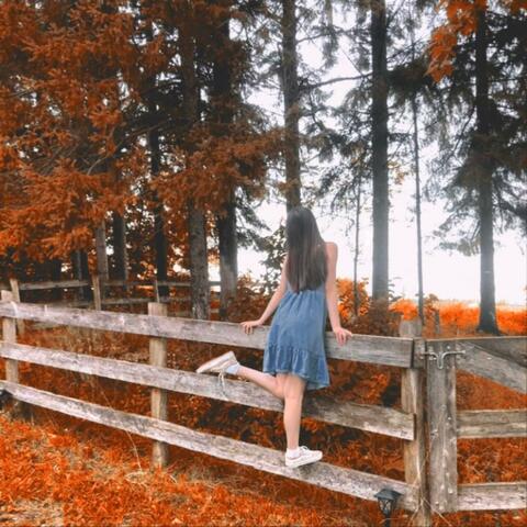 Autumn Leaves
