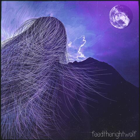 feedtherightwolf