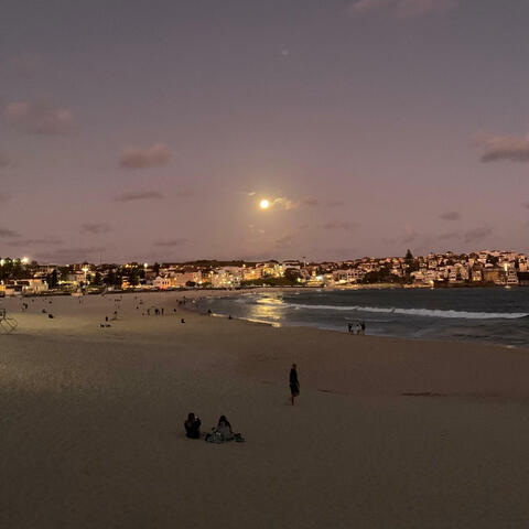 The O.C.