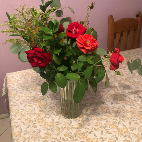 Dont Send Me Flowers (feat. Freddy G)