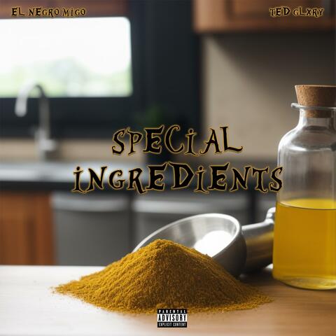 Special Ingredients (feat. TEDGLXRY)