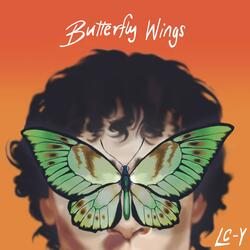 Butterfly Wings