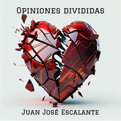 Opiniones Divididas