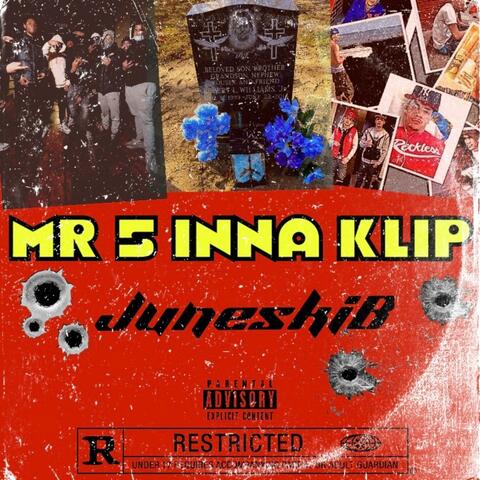 MR 5 INNA KLIP