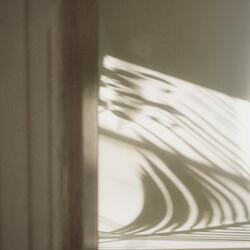 Light Falling Everywhere