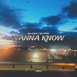 WANNA KNOW (feat. Big Screw DHB)