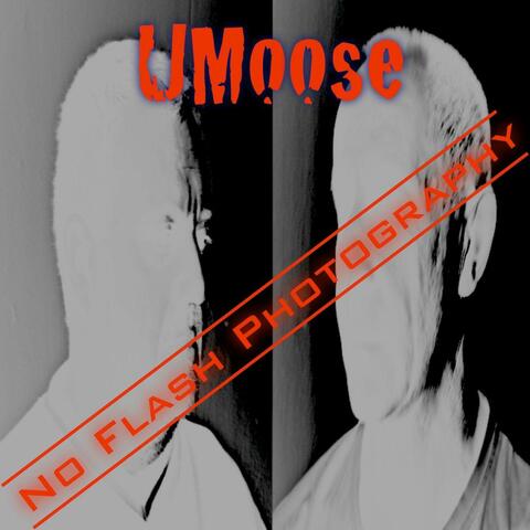 No Flash Photography