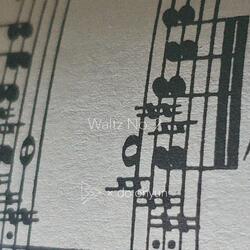 Waltz No. 2 (feat. do.ohyun)