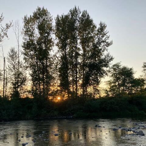 July Mornings: Songs From Daily Light