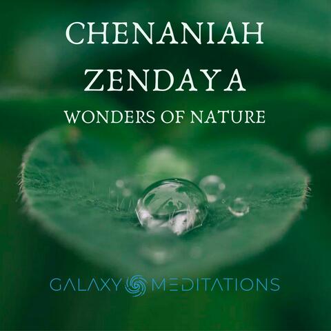 Wonders Of Nature