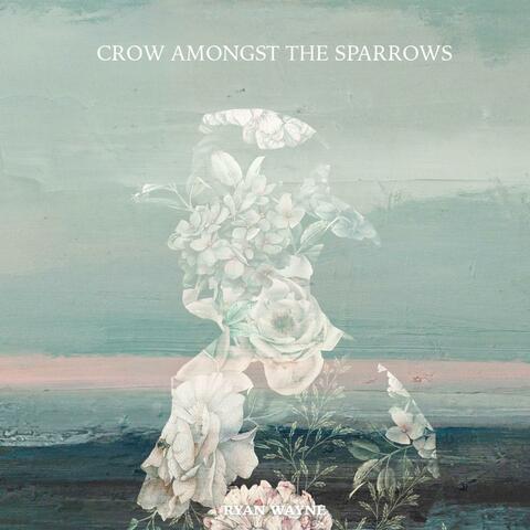 Crow Amongst the Sparrows