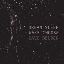 Dream Sleep Wake Choose