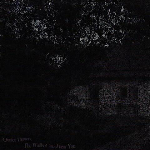 Quiet Down, The Walls Can Hear You