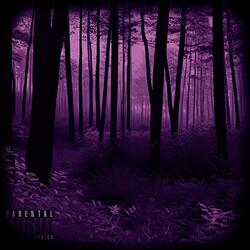 Silence (feat. Fugazi Naz)