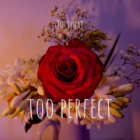Too Perfect