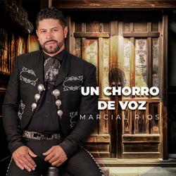 Un Chorro de Voz