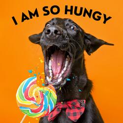 I Am So Hungy