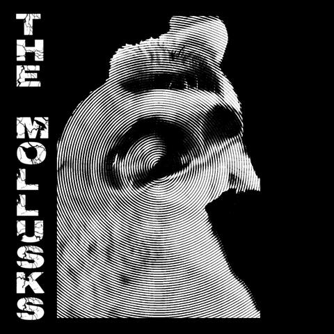 Capitalism kills people because killing people makes the market work.Capitalism is racist because racism makes the market work. For every 10 houseless people at the start of the 2020s there are now 38. Thirty fucking eight. (XVI Dinky Hocker Shoots Smack)