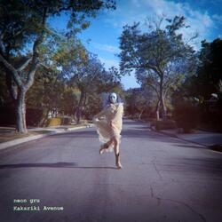 Kākāriki Avenue (Radio Edit)