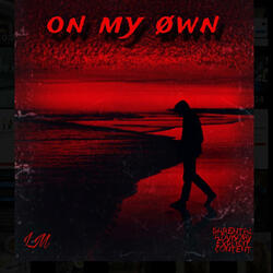 øn my øwn