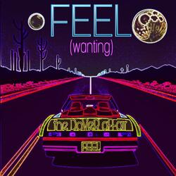 FEEL (wanting)