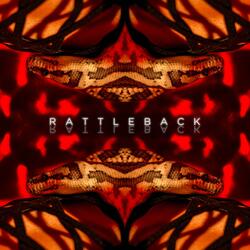 Rattleback