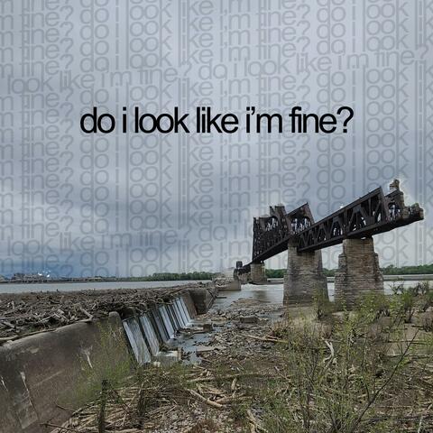 do i look like i'm fine?