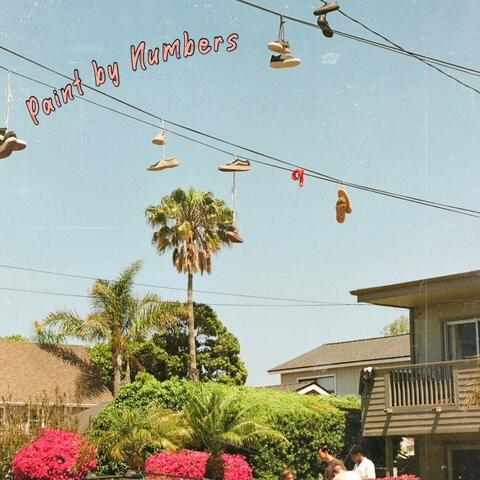 Paint by numbers