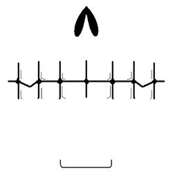 Siempre Estuve Muerto