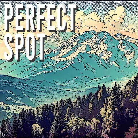 Perfect Spot