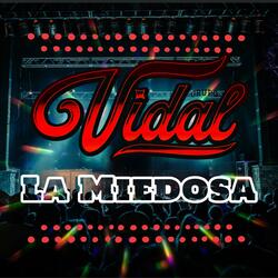 LA MIEDOSA