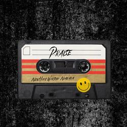 Praise (feat. Tovi Delport)