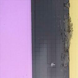 You Can Only Keep Moving