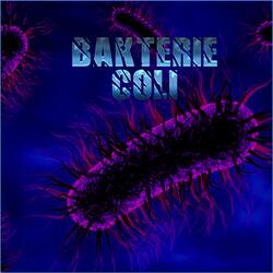 Bakterie Coli