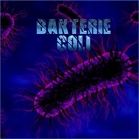 Bakterie Coli