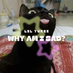 Why Am I Sad?
