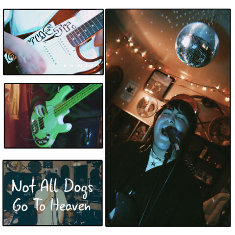 Not All Dogs Go To Heaven
