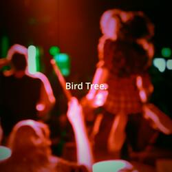 Bird Tree (feat. Joey Dunn)