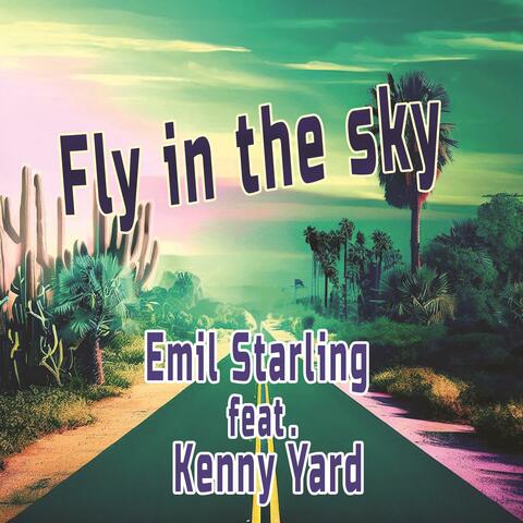 Fly in the sky