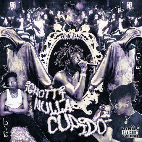 Ignotti Nulla Cupido (No Desire for the Unknown)