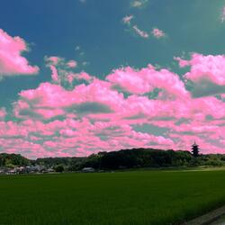 Shiawase